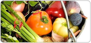 Vegetarian Nutrition ADA Evidence Analysis Project